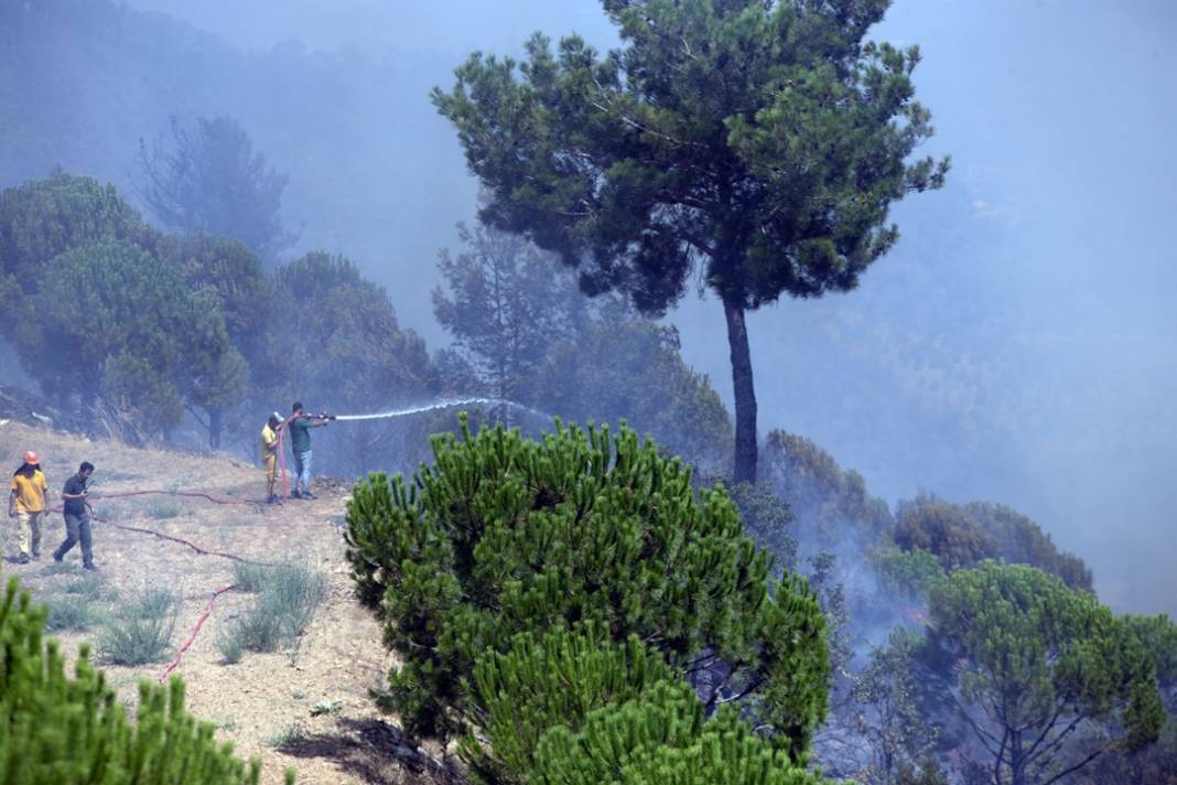 Aydın'daki orman yangınından son görüntüler 4