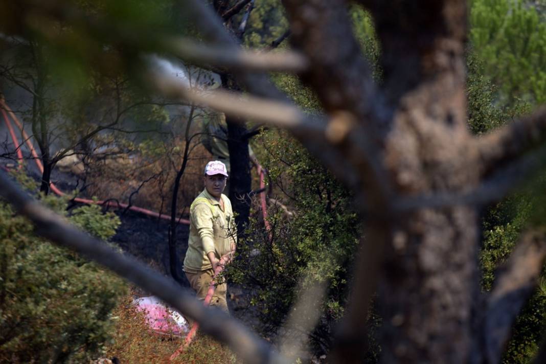 Aydın'daki orman yangınından son görüntüler 6