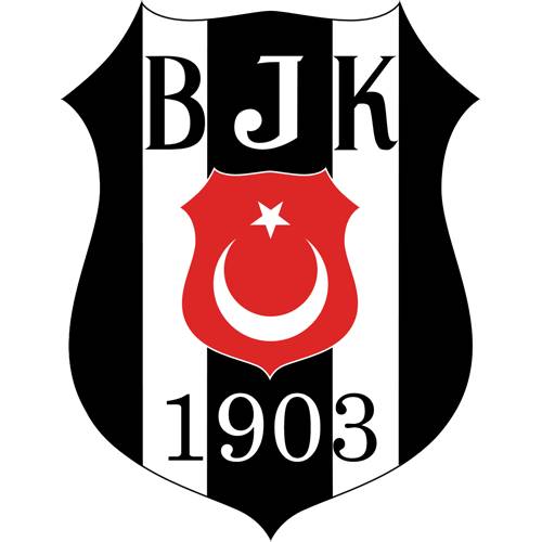 Süper Lig takımlarının künyesi ve kariyer tablosu 4