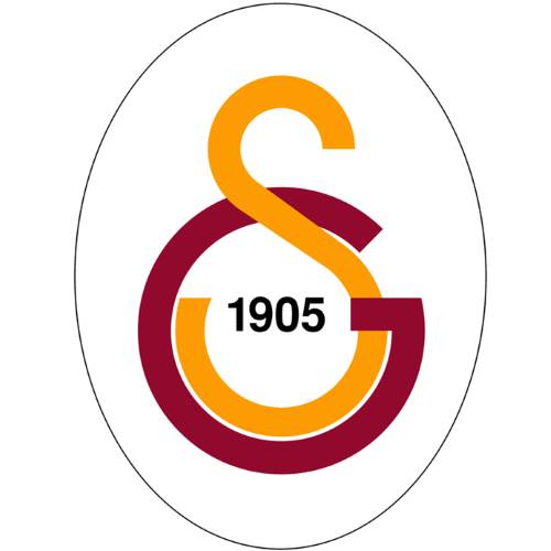 Süper Lig takımlarının künyesi ve kariyer tablosu 2