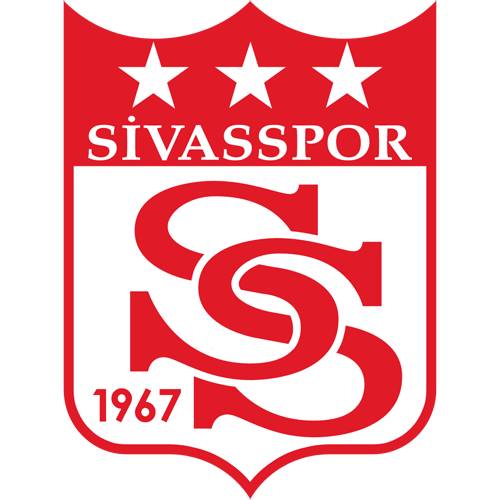 Süper Lig takımlarının künyesi ve kariyer tablosu 14