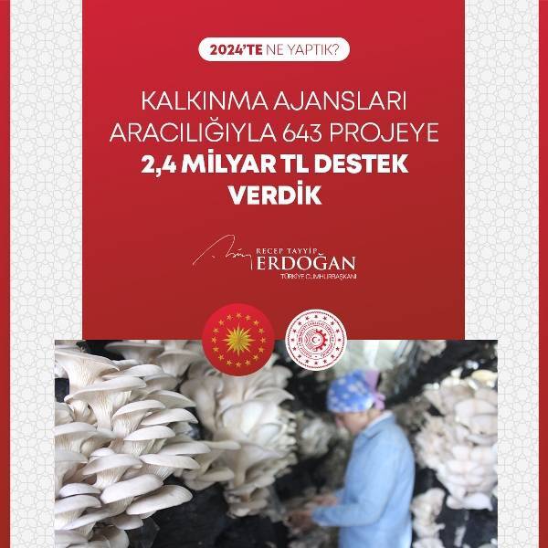Cumhurbaşkanı Erdoğan 2024'te yüzlerce kalemde neler yaptıklarını anlattı (FOTO GALERİ) 19