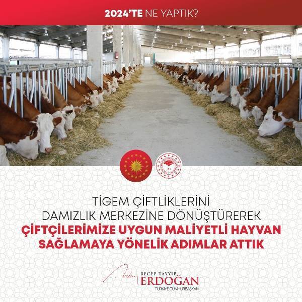Cumhurbaşkanı Erdoğan 2024'te yüzlerce kalemde neler yaptıklarını anlattı (FOTO GALERİ) 87