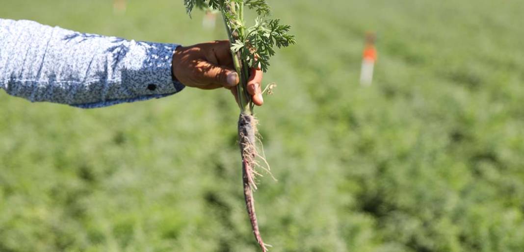 Konya'nın 78 lezzeti dünya mutfağına damga vuruyor! İşte Konya'nın 78 tescilli lezzeti 5