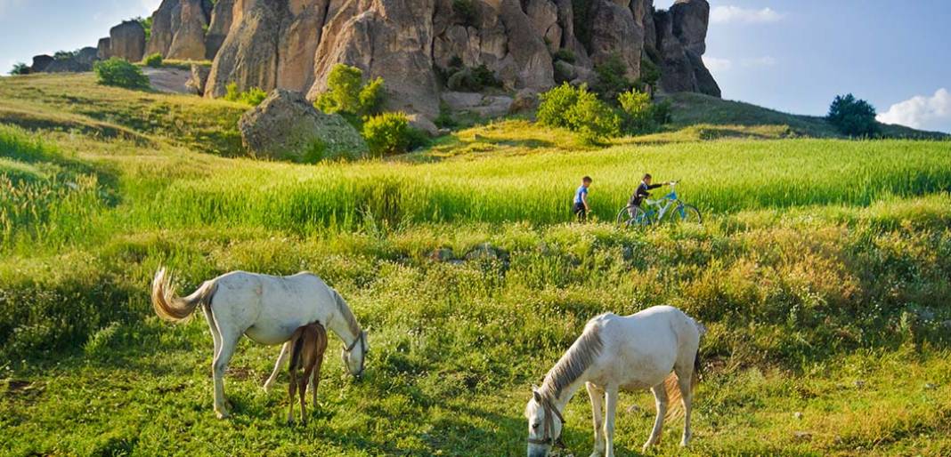 Zamanın yeşil aktığı Meram'dan manzaralar 10
