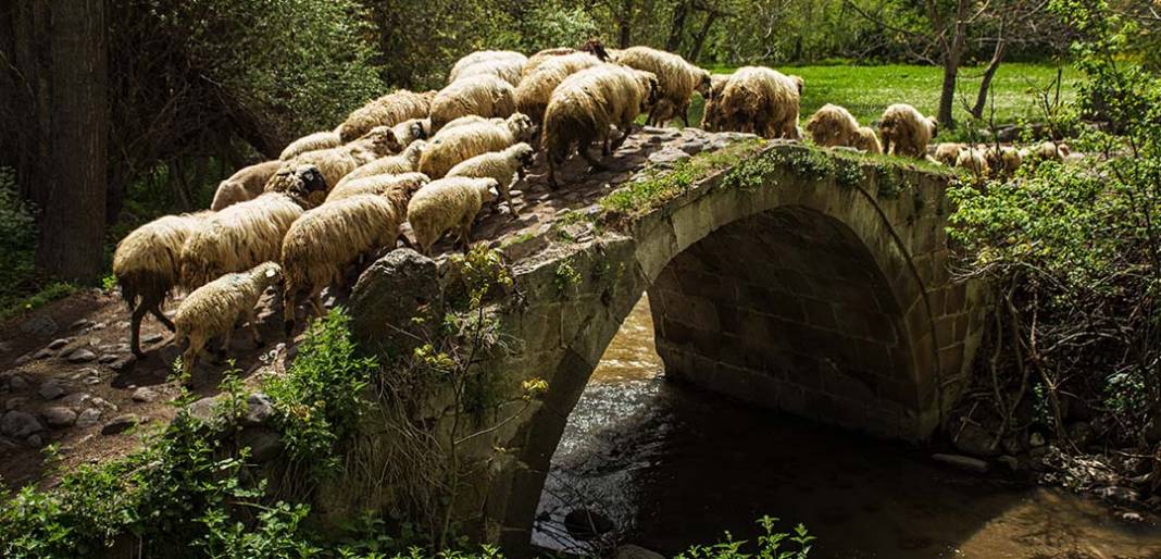 Zamanın yeşil aktığı Meram'dan manzaralar 11