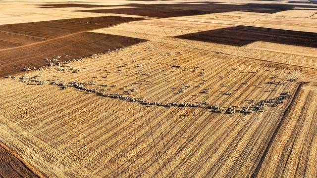 Bir sınırı Konya'da bulunan üzerinde yürünebilen göl, pespembe oldu 6