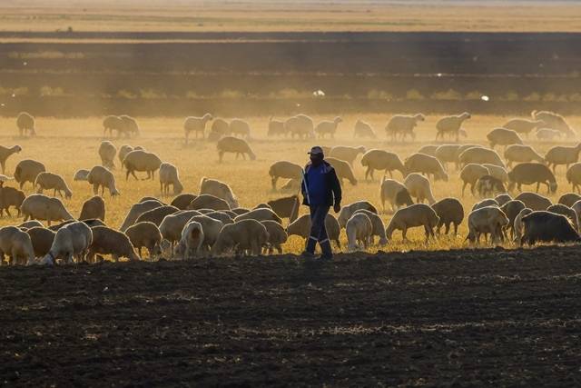 Bir sınırı Konya'da bulunan üzerinde yürünebilen göl, pespembe oldu 4