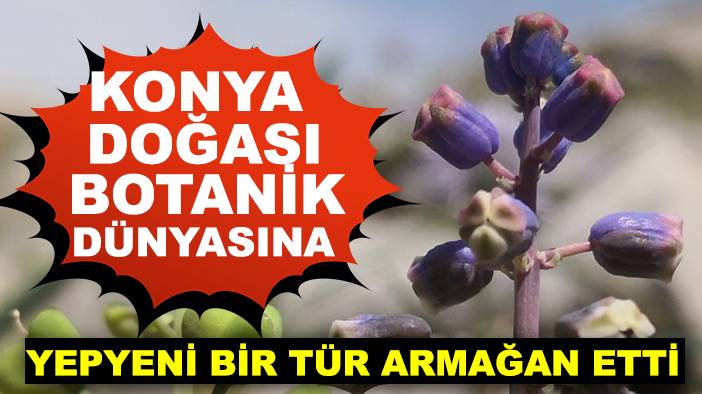 Konya'da bugün neler oldu? 22 Ağustos 2025 3