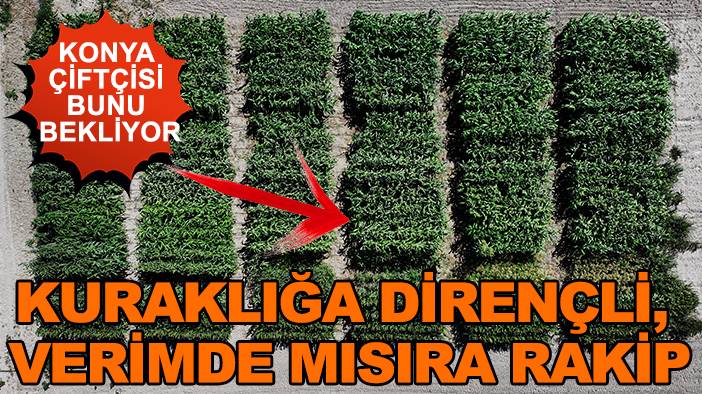 Konya'da bugün neler oldu? 29 Ağustos 2025 5