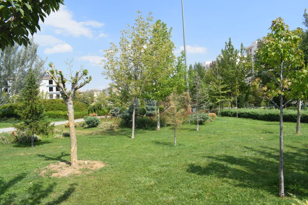 Konya'nın sıradışı parkı yaz akşamlarının gözdesi oldu 11