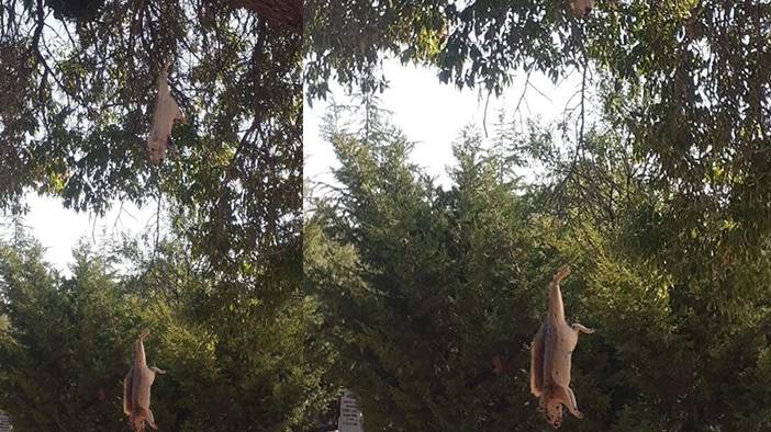 Konya'da bugün neler oldu? 20 Ağustos 2025 1