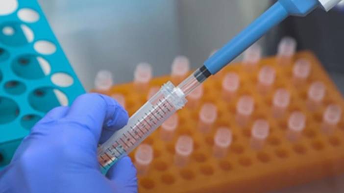 'Günde bir tane yiyen doktorun yolunu unutur' sözü doğru mu? İşte araştırma sonuçları 4