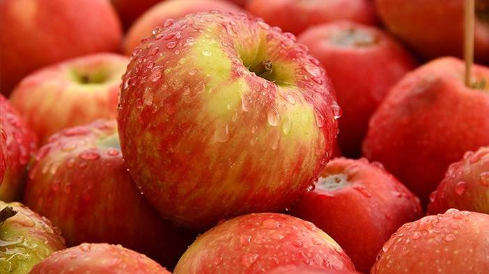 'Günde bir tane yiyen doktorun yolunu unutur' sözü doğru mu? İşte araştırma sonuçları 1