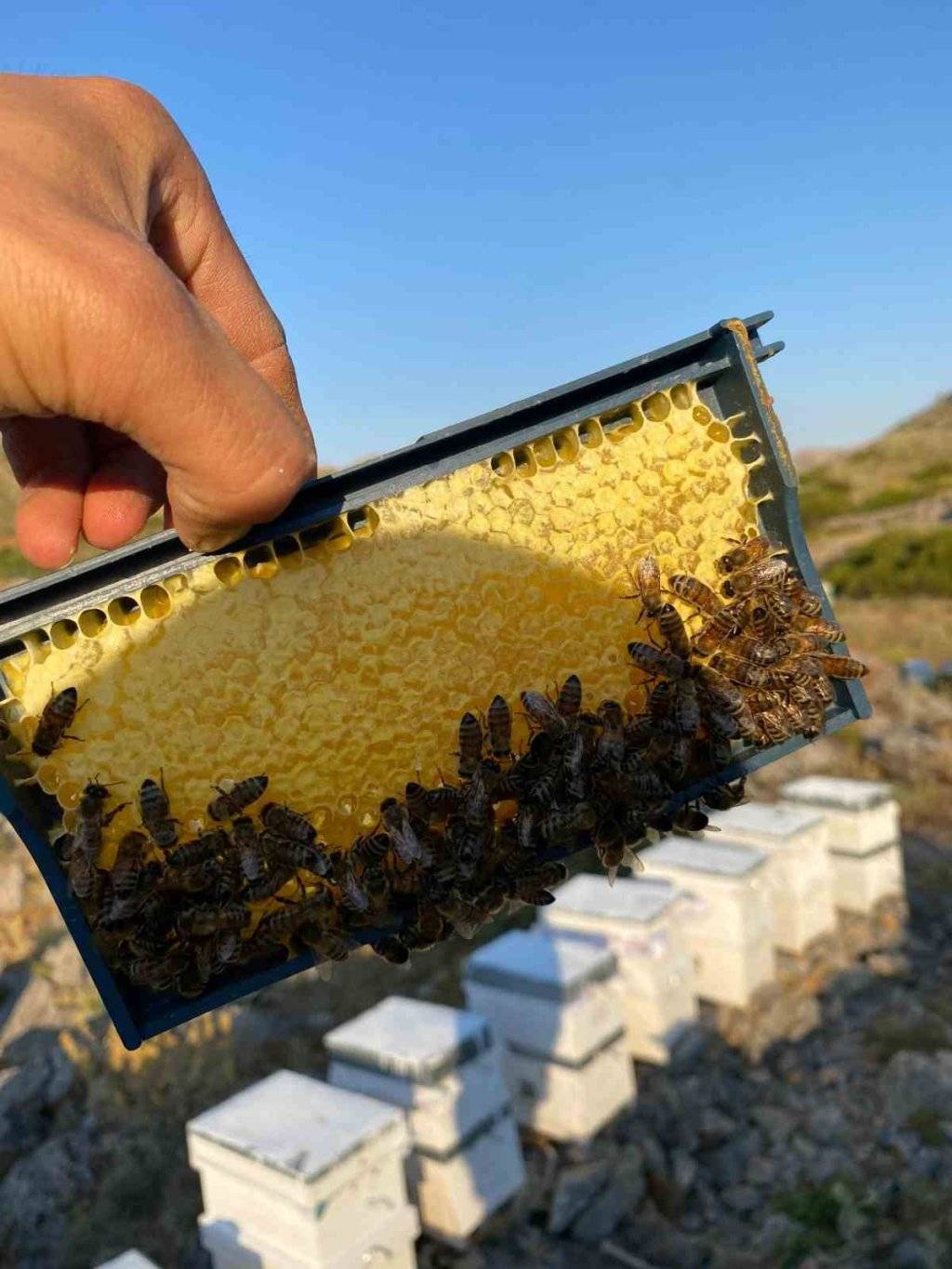 Konya'da bugün neler oldu? 24 Ağustos 2025 5