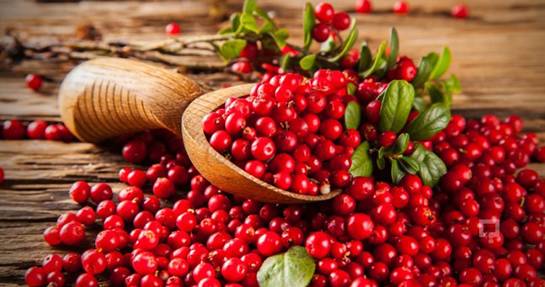 Kızılcık suyu her derde deva oluyor! İşte vücudunuzu baştan aşağı koruyan 5 şaşırtıcı faydası 1