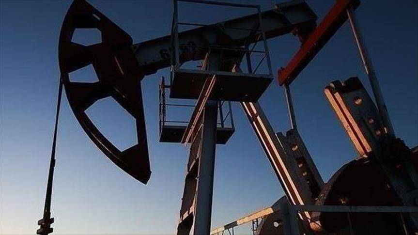 Türkiye’de bu işi yapanlar paraya para demiyor! 9