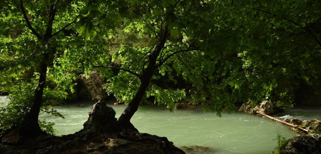 Konya'da sesini bir mahalle dinliyor: Ülkede adı meşhur 3