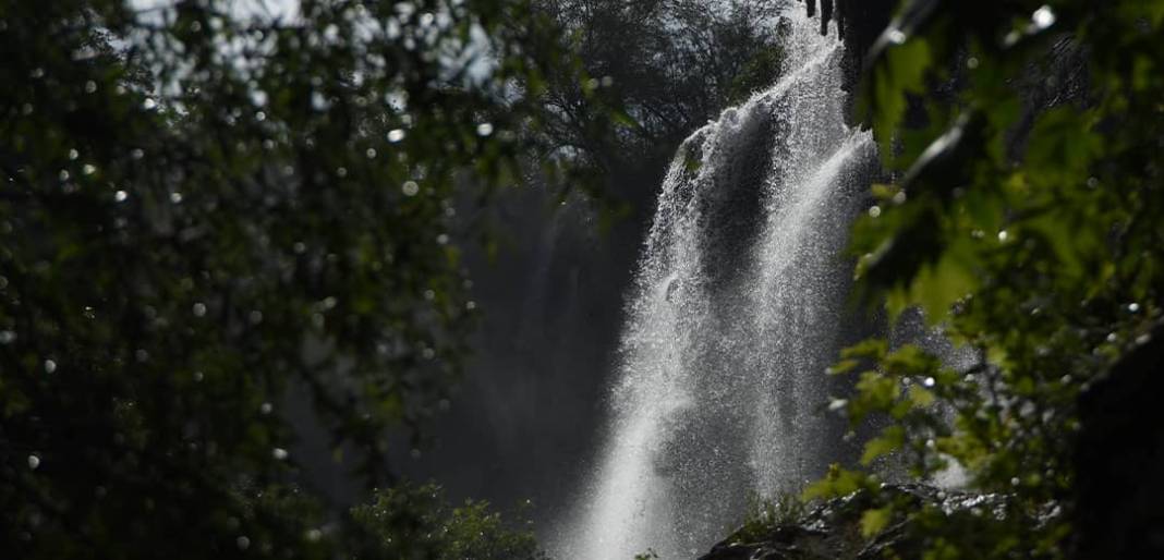 Konya'da sesini bir mahalle dinliyor: Ülkede adı meşhur 4
