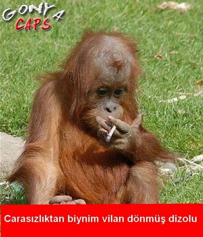 Sadece Konyalıların gülmekten kırıldığı Gonya Caps’ları 11