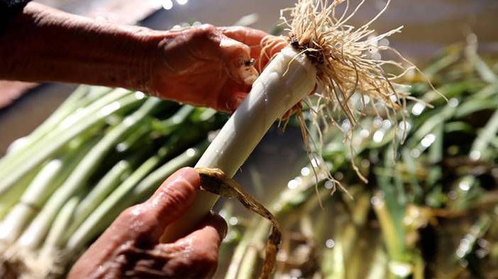 Serin havalara hazır mısınız? İşte bu besinler direncinizi artıracak 5