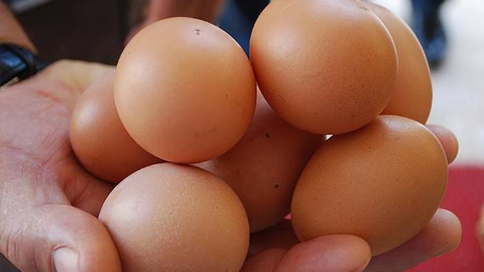 Bakteri yuvasına dönüştürüyor: Yumurtaları aman böyle koymayın! 2