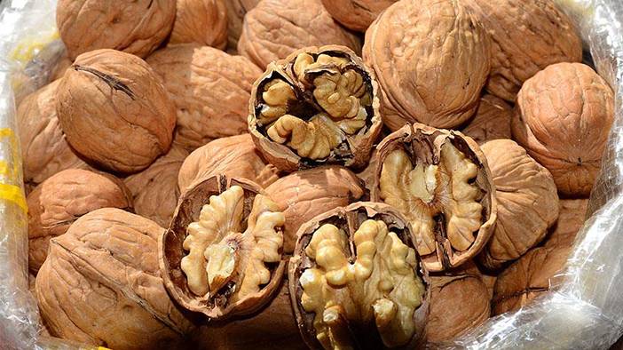 Serin havalara hazır mısınız? İşte bu besinler direncinizi artıracak 2