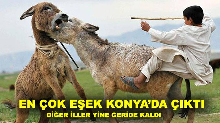 Konya'da bugün öne çıkan haberler! 11