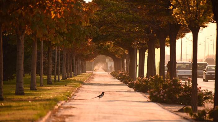 Yakında Konya'da bunları göreceğiz 5