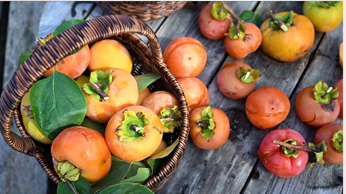 Serin havalara hazır mısınız? İşte bu besinler direncinizi artıracak 6