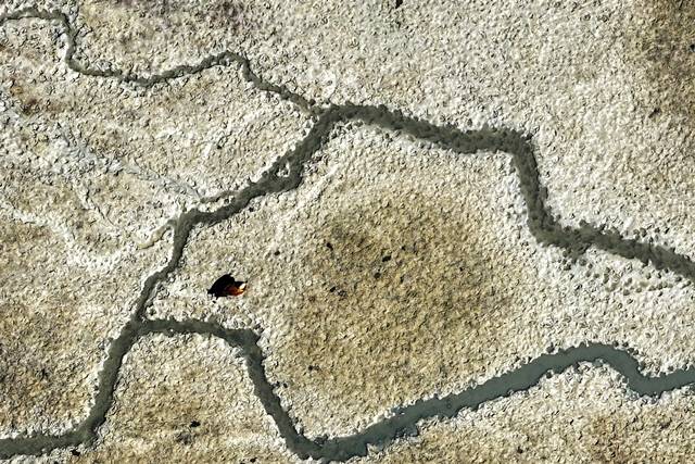 Konya'daki baraj ve göletlerde su seviyesinde tarihi düşüş: İşte su kaynaklarında oranlar 9