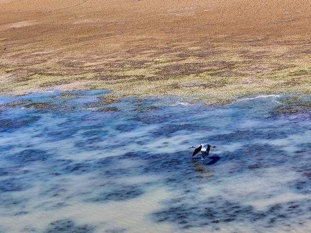 Konya'daki baraj ve göletlerde su seviyesinde tarihi düşüş: İşte su kaynaklarında oranlar 10