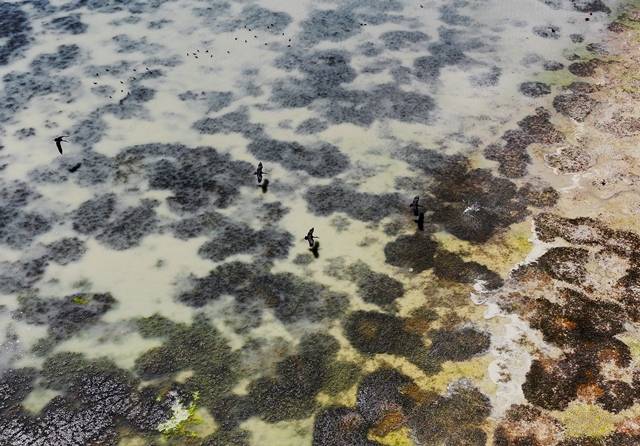 Konya'daki baraj ve göletlerde su seviyesinde tarihi düşüş: İşte su kaynaklarında oranlar 11