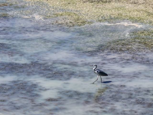 Konya'daki baraj ve göletlerde su seviyesinde tarihi düşüş: İşte su kaynaklarında oranlar 12