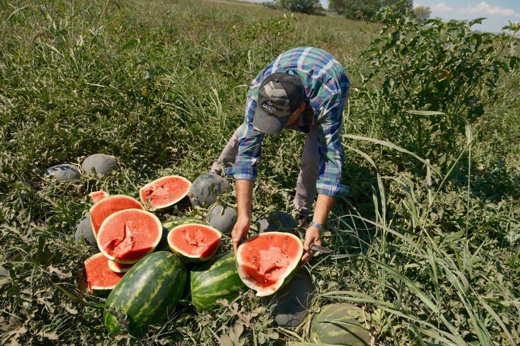 Konyalı çiftçinin bu telefonu almak için bir kamyon buğday satması gerekiyor 13