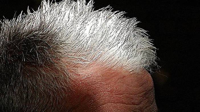 Ceviz kabuğunda saklı mucize 18