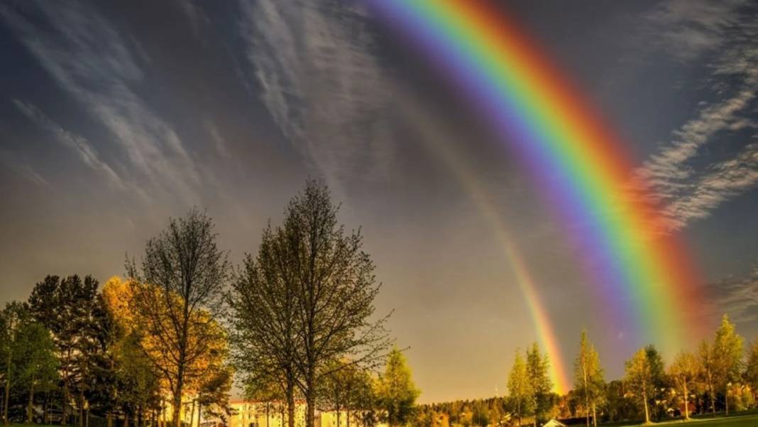 Milyonda bir görülüyor, izleyenleri şaşkına çeviriyor 3