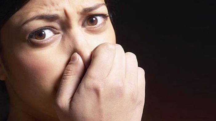 Ceviz kabuğunda saklı mucize 11