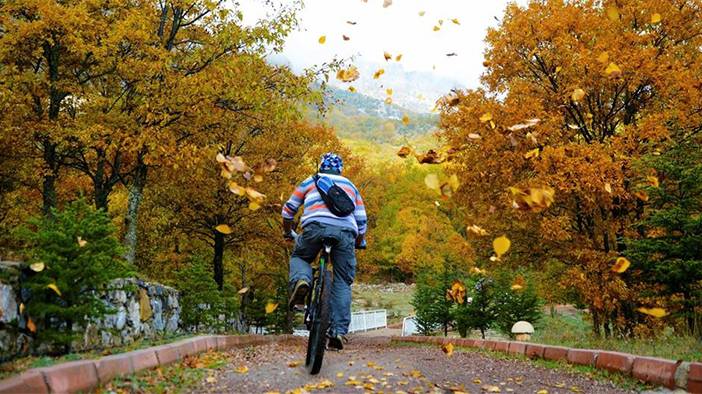 Konya'da yaprak dökümü kapıda 5