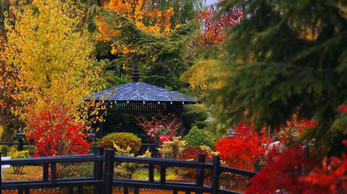Konya'da yaprak dökümü kapıda 6