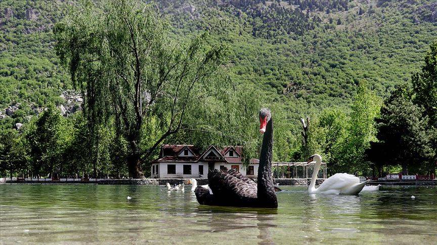 Sonbahar en çok Konya’ya yakışıyor! Konya’da Eylül ayında gezilecek rotalar 6