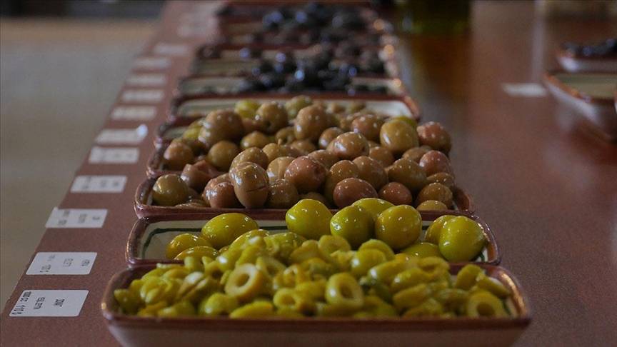 Sağlıklı yaşamın anahtarı meğer bu renkmiş! İşte sağlığa en faydalı zeytin... 2