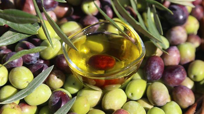 Bilmediğimiz çok faydası varmış: İşte zeytin çekirdeği yutmanın yararları 3