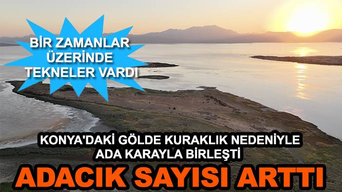 Konya'da bugün dikkat çeken olaylar! 2 Ekim 2025 4