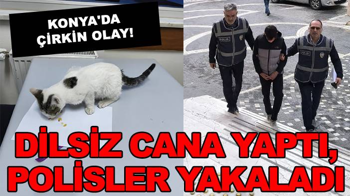 Konya'da bugün dikkat çeken olaylar! 4 Ekim 2025 8