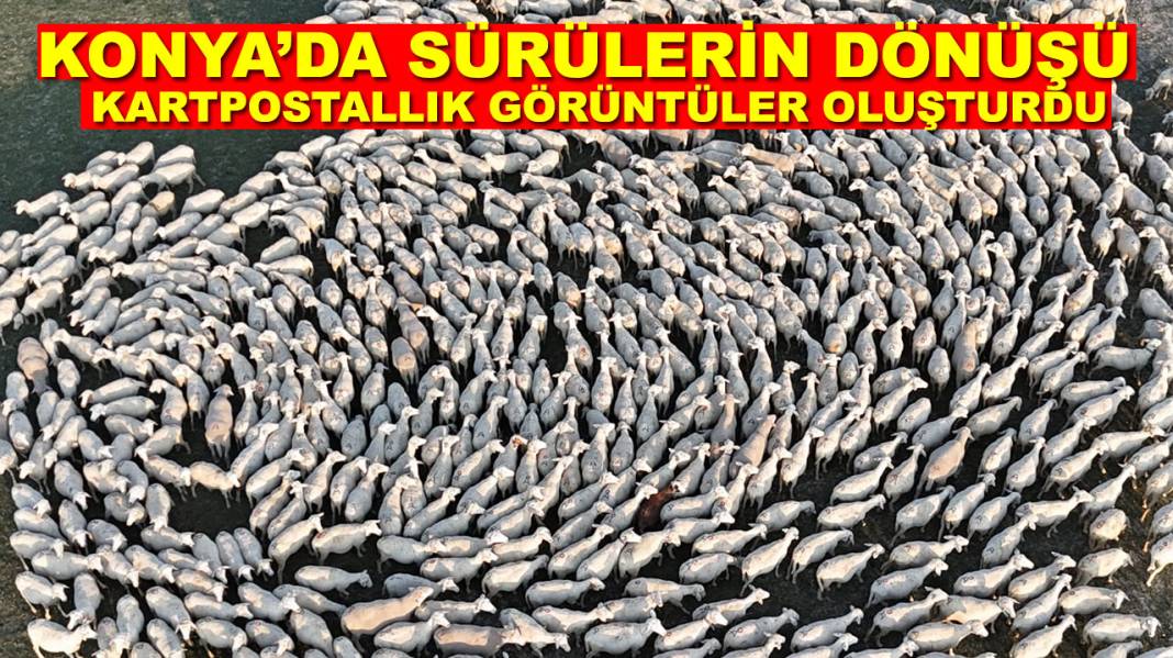 Konya’da bugün öne çıkan haberler! 3