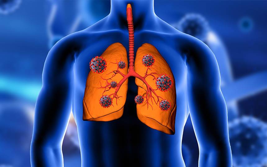 Yapanlar hastalıktan kurtuluyor! Virüslerin ve mikropların baş düşmanı 2