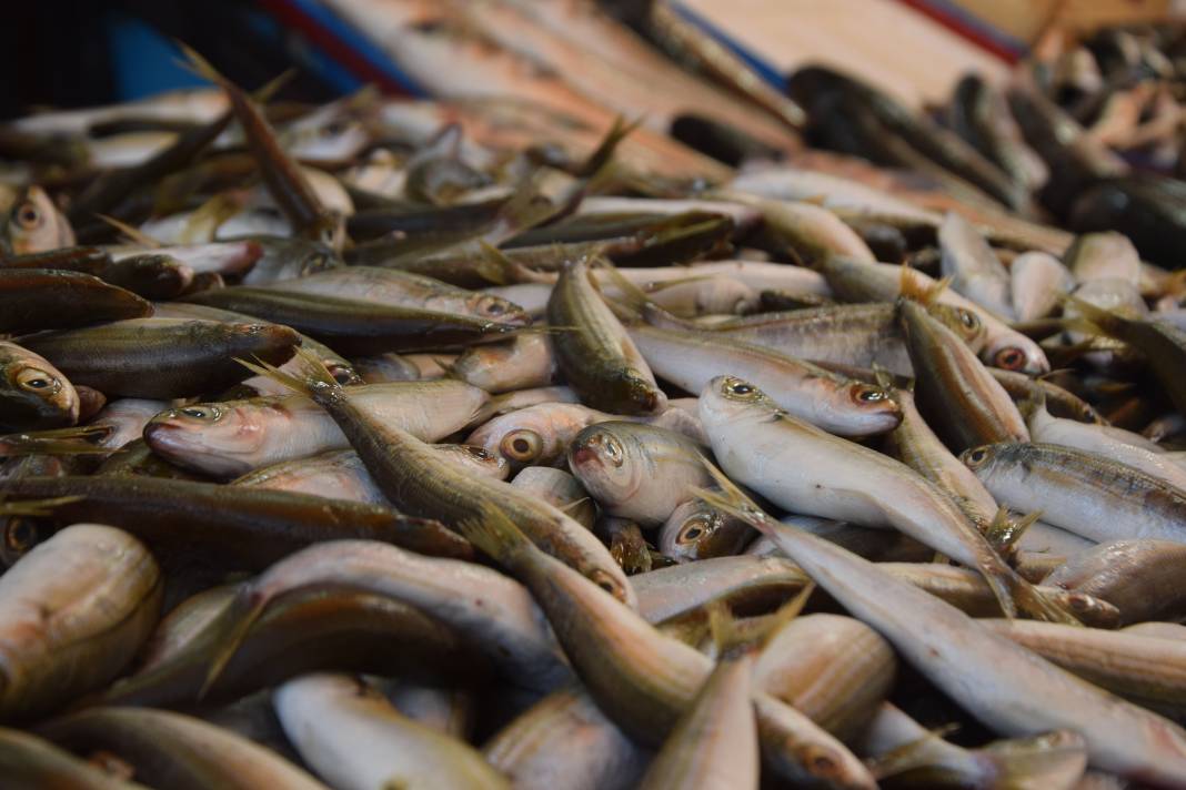 Konya’da balık fiyatları tavuktan ucuz! Tezgâhlarda hamsi bereketi başladı 7