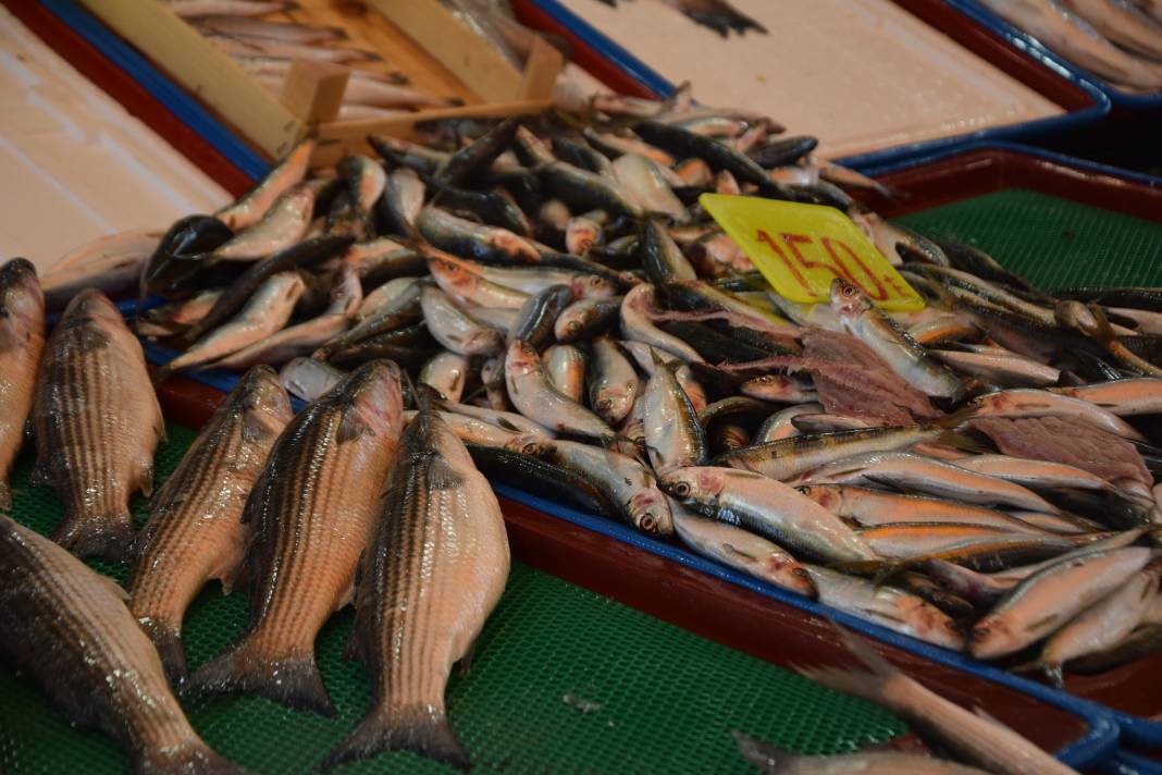 Konya’da balık fiyatları tavuktan ucuz! Tezgâhlarda hamsi bereketi başladı 4