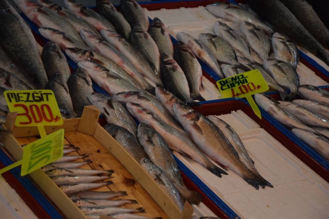Konya’da balık fiyatları tavuktan ucuz! Tezgâhlarda hamsi bereketi başladı 5